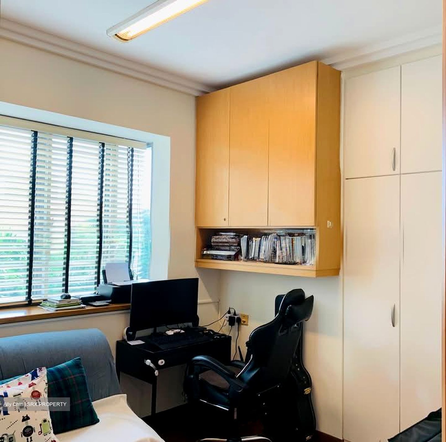 Thomson Euro-asia (D11), Condominium #568736211